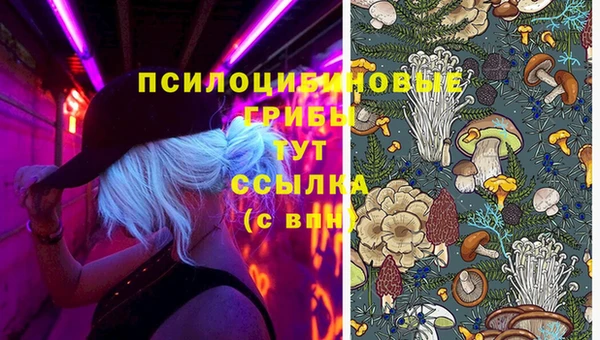 меф Сафоново