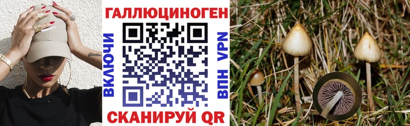 Псилоцибиновые грибы Cubensis  купить наркотики сайты  Бугуруслан 
